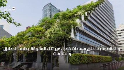 تعرّفي إلى تأثير الهندسة الخضراء على حياتك والبيئة من حولك