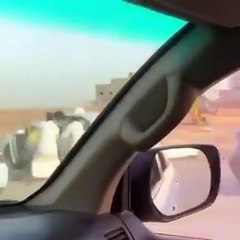 بالفيديو.. سعودي يوثق مضاربة بين شباب لحظة توقفه بسيارته كانت المفاجأة !