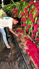 Entatanment Vedio Channel for kids Enjoy .