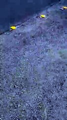 سطو مسلح أمام بنك ساب بالرياض