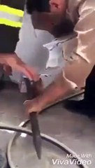 بالفيديو.. إنقاذ قطة علق رأسها في خزان مياه بمساعدة الدفاع المدني