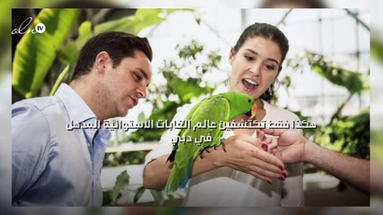 هكذا فقط تكتشفين عالم الغابات الاستوائية المذهل في دبي!