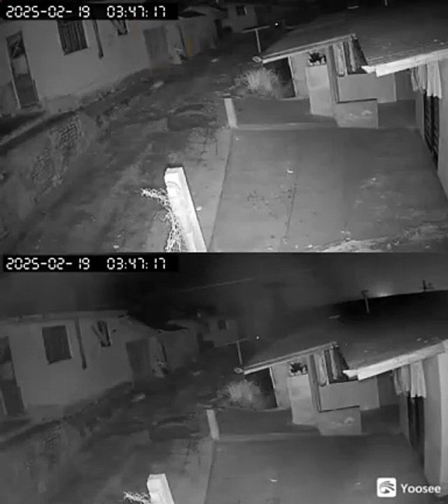 Suspeito de tentar matar duas vezes a mesma vítima é preso em Colombo; arma utilizada no crime foi apreendida