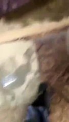 بالفيديو .. إغلاق مغسلة بسبب طريقة العامل في تنظيف الملابس