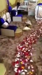 بالفيديو.. زوج سعودي يستقبل زوجته بعد الولادة بطريقة مبهرة