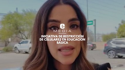 La diputada federal Diana Karina Barreras, compartió a e Media el trabajo legislativo que se está realizando desde la Cámara de Diputado
