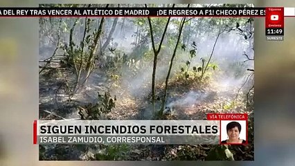 Van más de 60 incendios forestales en Veracruz en lo que va del año