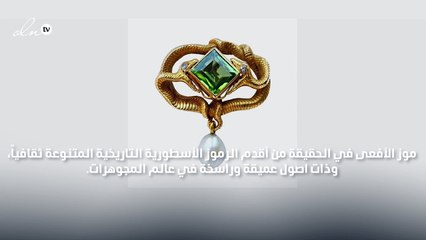 هكذا بدأت الأفعى زحفها إلى عالم المجوهرات منذ عشرات السنين!