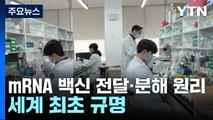 mRNA 백신 전달·분해 원리 세계 최초 규명 / YTN