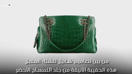 حقيبة شانيل من جلد التمساح لمختلف المناسبات النهارية
