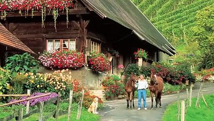 عيشوا متعة استكشاف روائع الغابة السوداء في ألمانيا هذا الصيف