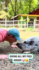 Lach dich schlapp mit Lustige Pfoten Ч. 44