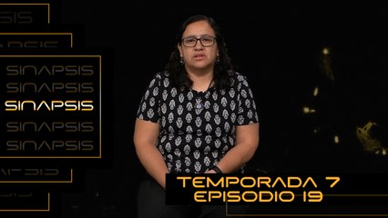 T7 Ep.19- Sinapsis | Carne de conejo, alternativa para la soberanía alimentaria