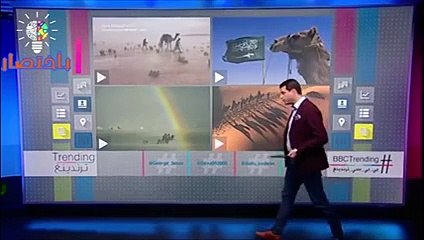 بالفيديو.. الإبل تشعل مواقع التواصل بعد عبورها صحراء السعودية وسط الأمطار والسيول