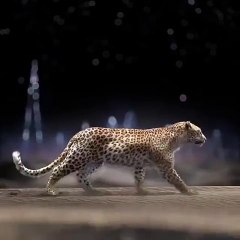 جديد كارتييه: 4 تصاميم من الزمرد الكولومبي النادر!