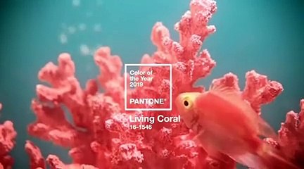 إطلالات النجمات بلون عام 2019 تغمرنا بالحيوية والتفاؤل