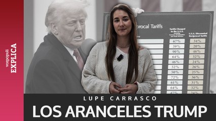 Las claves del arsenal de aranceles de Donald Trump