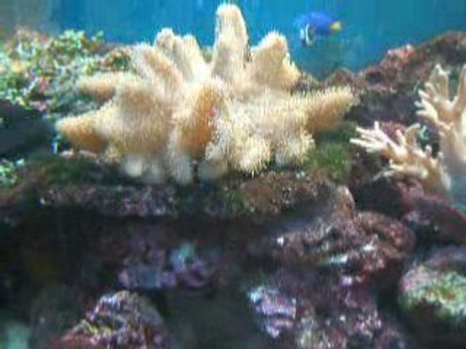 DSCF3818