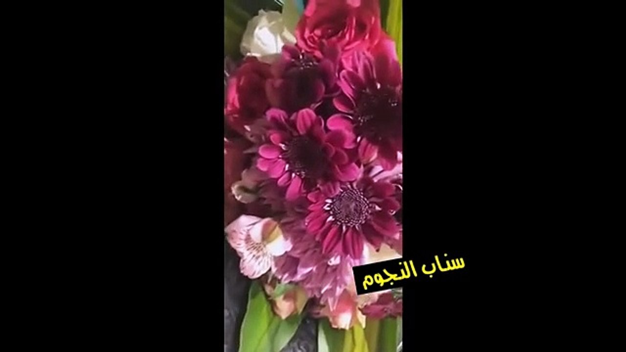 بالفيديو.. انتقادات عنيفة ضد حليمة بولند بعد هدية الـ3 ملايين ريال!