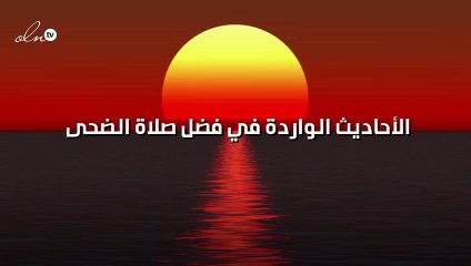 الأحاديث الواردة في فضل صلاة الضحى