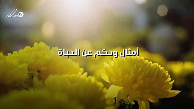 أمثال وحكم عن الحياة