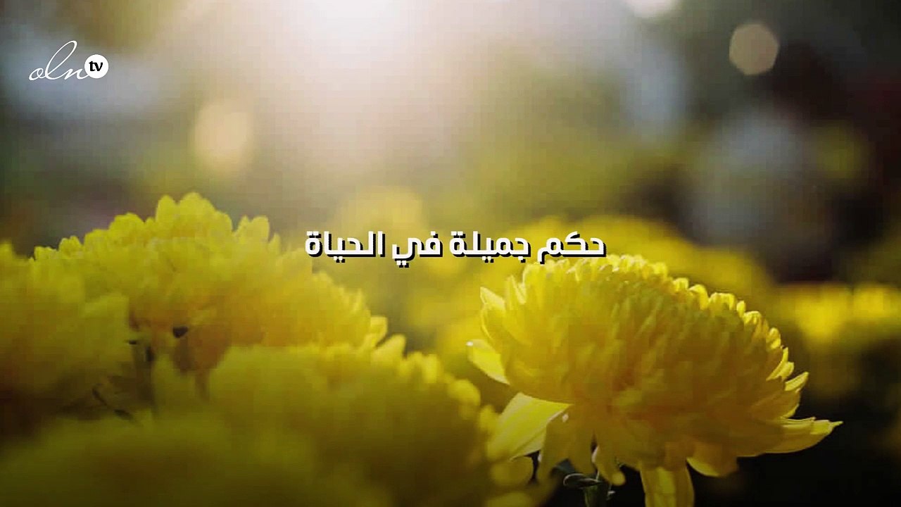 حكم جميلة في الحياة