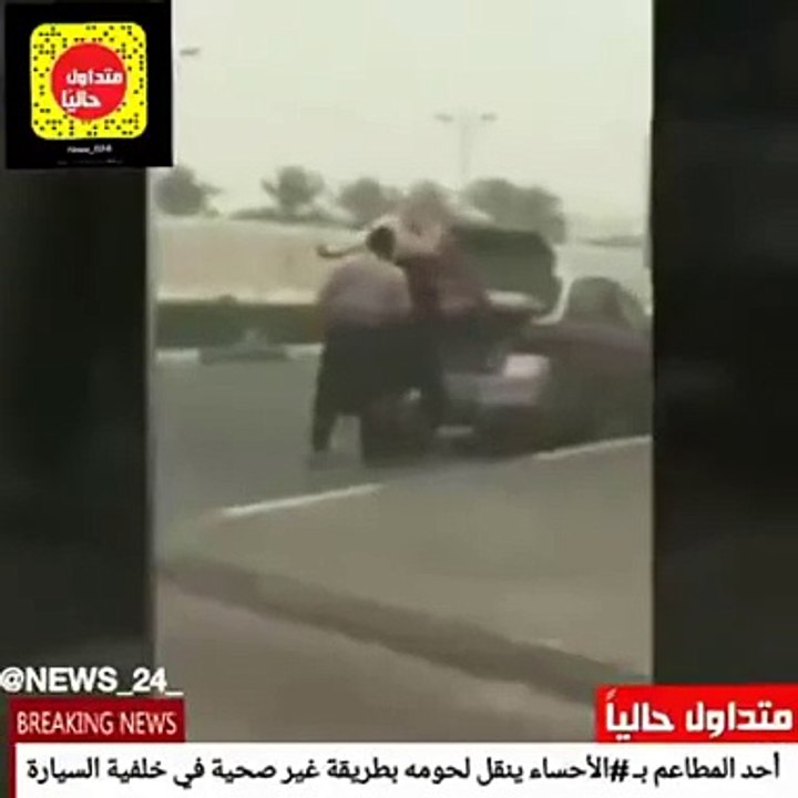 بالفيديو.. مطعم في الأحساء يثير الجدل بعد استخدامه سيارة ركاب لنقل اللحوم