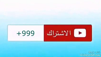 بالفيديو.. "هوشه" عنيفة بين مجموعة رجال ونساء على كورنيش الخفجي