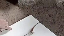 The Secret of the Trade! Learn How to Cut and Install Floor Tiles Like a Pro, Step by Step #tiles