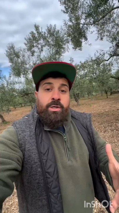 tutorial da provare