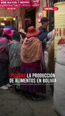 ¿Bolivia se encamina a la importación de alimentos?
