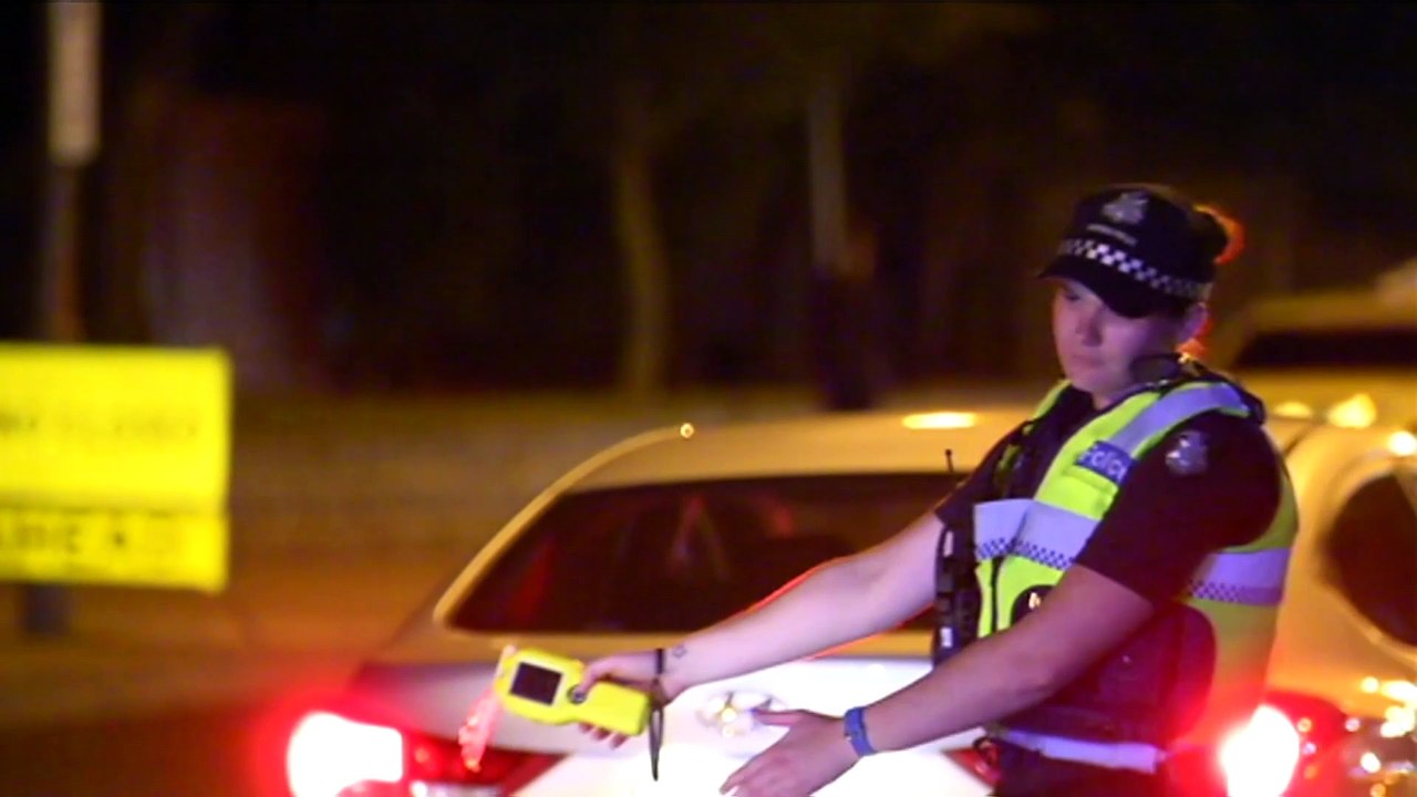 NSW government urged to scrap sniffer dogs and strip searches at music festivals