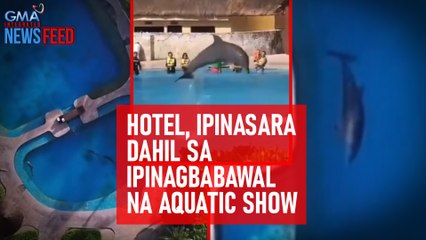 Hotel, ipinasara dahil sa ipinagbabawal na aquatic show | GMA Integrated Newsfeed