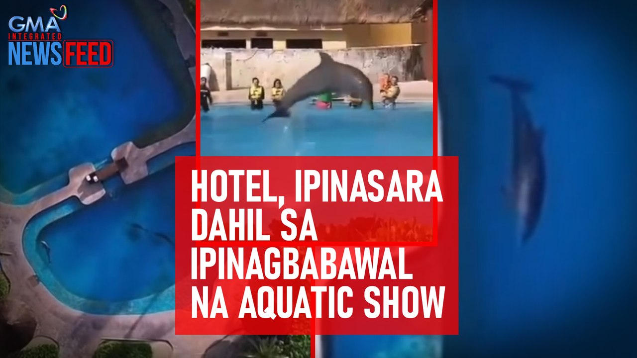 Hotel, ipinasara dahil sa ipinagbabawal na aquatic show | GMA Integrated Newsfeed