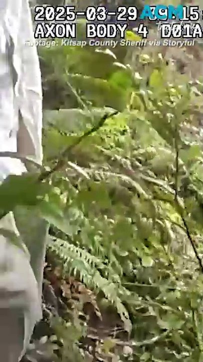 Fowl play? Man arrested for chicken-napping after alleged break-in
