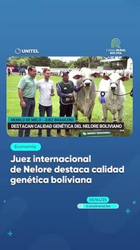 Juez internacional de Nelore destaca calidad genética boliviana