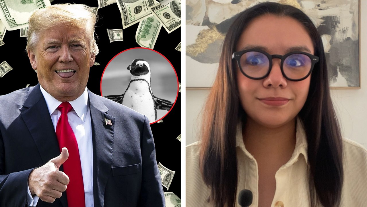 Donald Trump impone aranceles a islas habitadas por pingüinos y focas; así son las islas Heard y McDonald