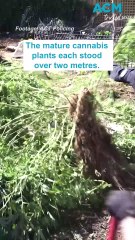 ACT Police seize quantity of drugs during search of home