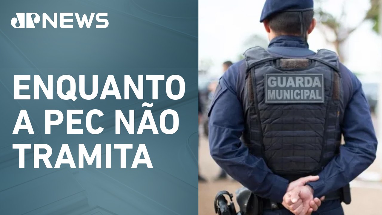 Senadores do PT apresentam medidas de Segurança Pública