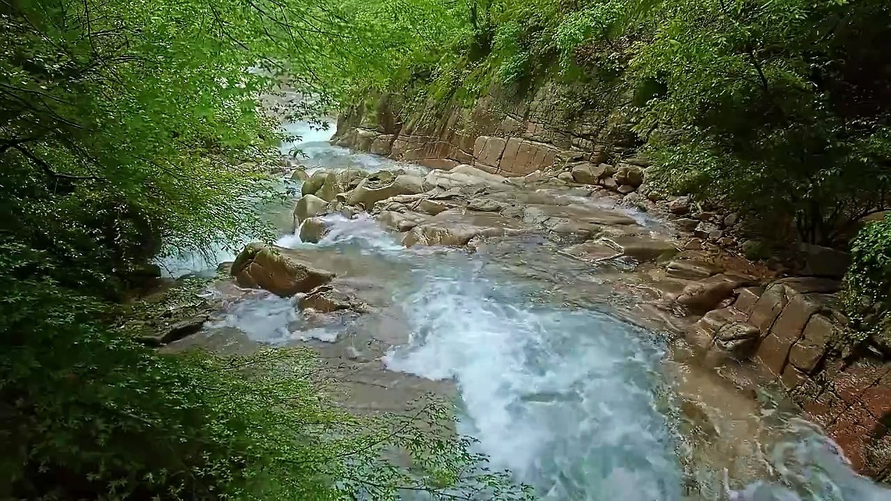 4K Relaxing Nature Sounds - Short Video Clips of Nature(720P_HD)