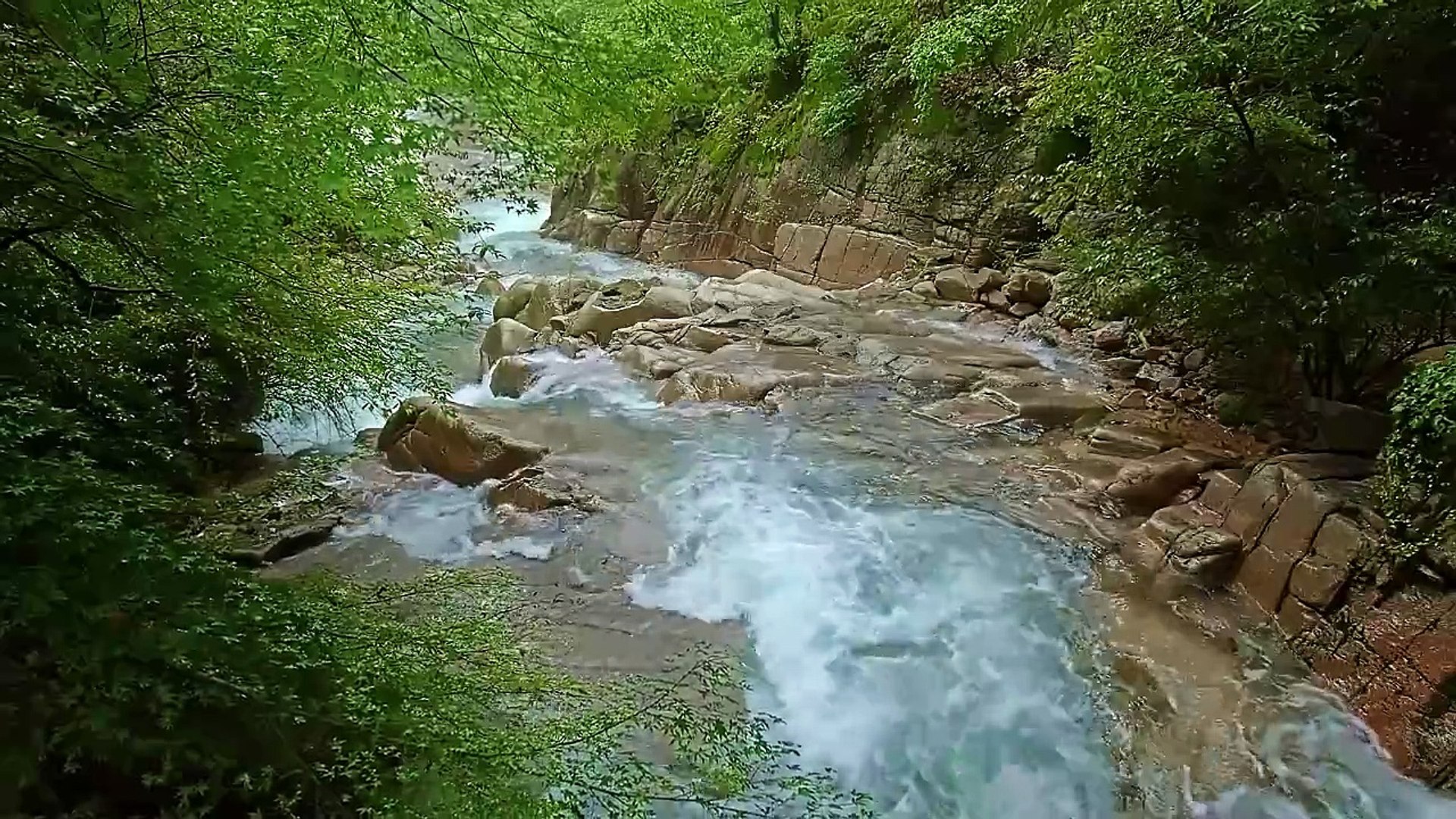 ⁣4K Relaxing Nature Sounds - Short Video Clips of Nature(720P_HD)