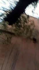 Tut Ja Payal Delhi mein