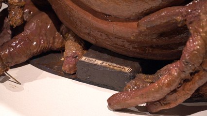 Modelo original de ‘E.T.: O Extraterrestre’ fica sem comprador em leilão