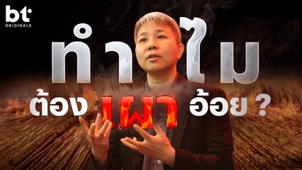 ทำไมต้องเผาอ้อย ? | bt Originals