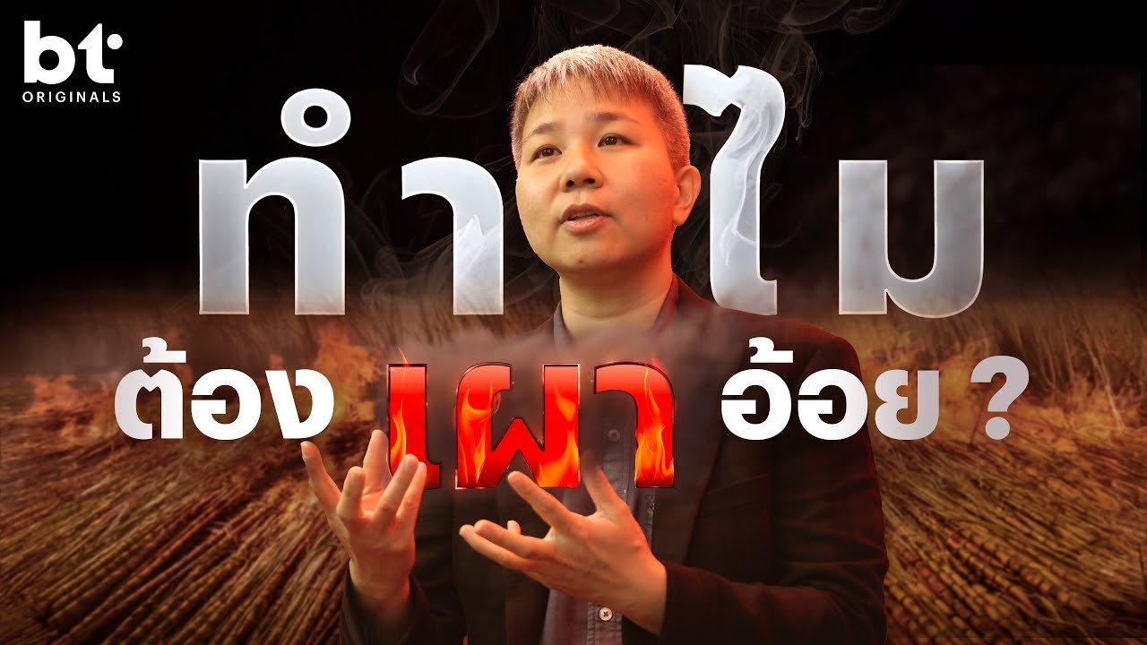 ทำไมต้องเผาอ้อย ? | bt Originals