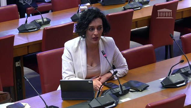 Effets psychologiques de TikTok sur les mineurs : Mme Amélie Ébongué, auteure du livre Génération TikTok : Un nouvel eldorado pour les marques ; Représentants de la CNIL et chercheurs spécialistes en communication - Jeudi 3 avril 2025