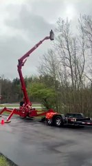 Professional Tree Care at Its Finest 🌳 | Branch Specialists Rochester NY