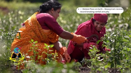 "Strange Traditions and Amazing Realities from the Heart of India"