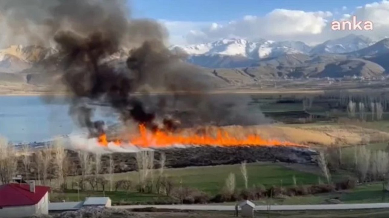Kuş cenneti alevlere teslim oldu