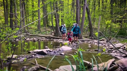 Beyond the Tree Line (2024) | Inspiring Family Adventure - Official Trailer 🌲